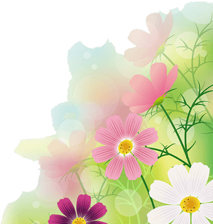 Floral Bokeh Background PNG with transparent background