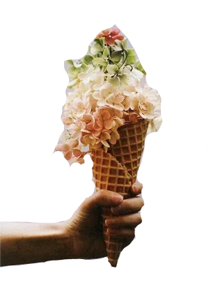 Floral Cone Surrealism.png PNG Image