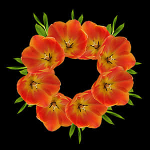 Floral Crown Design PNG with transparent background