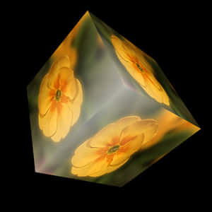 Floral Cube Illusion PNG image with transparent background