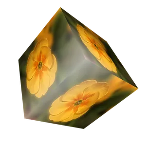 Floral Cube Illusion PNG Image