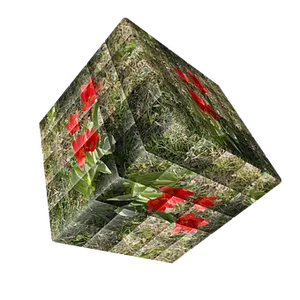 Floral Cube Illusion PNG Image