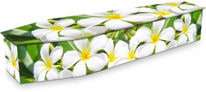 Expression Cofins - Coffin PNG image with transparent background