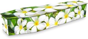 Floral Design Coffin PNG Image