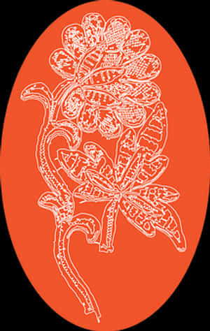 Floral Egg Sketch Art PNG image with transparent background