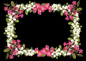 Floral_ Frame_on_ Black_ Background PNG