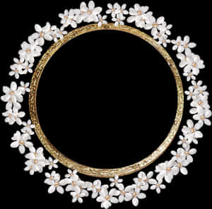 Floral Golden Frameon Black Background PNG