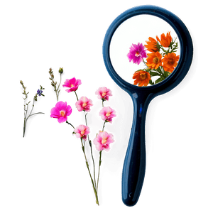 Floral Hand Mirror PNG 06212024 PNG