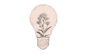 Aesthetic Theme Photography PNG Clipart PNG image with transparent background