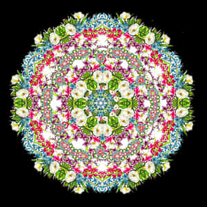 Floral Kaleidoscope Pattern.jpg PNG image with transparent background