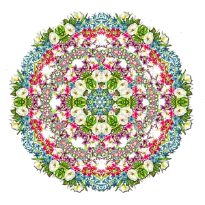 Floral Kaleidoscope Pattern.jpg PNG Image