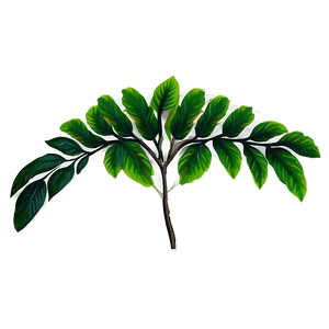 Floral Leaves PNG rac23 PNG image with transparent background