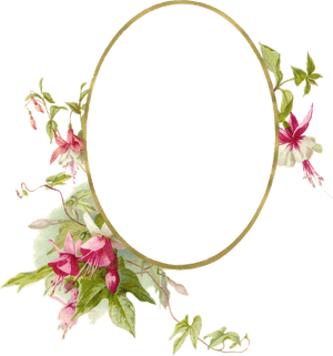 Transparent Oval Shape Png - Png Oval Shape With Flower, Png Download PNG image with transparent background