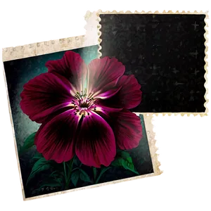 Floral Postcard Stamp Png 06272024 PNG Image