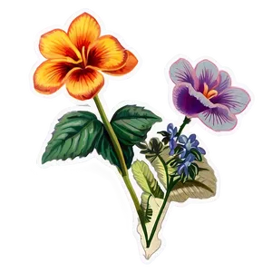 Floral Postcard Stamp Png 79 PNG Image