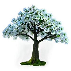 Floral Tree Top Blossom Png Jfm81 PNG Image