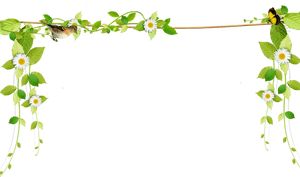 Beautiful Fresh Vines Border Rope Png Download - Transparent Background Vine Border, Png Download PNG image with transparent background