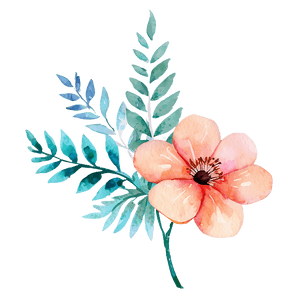Floral Watercolor Design PNG 05252024 PNG image with transparent background
