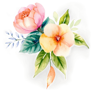 Floral Watercolor Design PNG 05252024 PNG image with transparent background