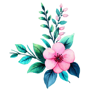 Floral Watercolor Design PNG 72 PNG image with transparent background