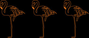 Florida Native Bird - Greater Flamingo, HD Png Download PNG image with transparent background