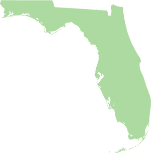 Florida State Outline PNG Image