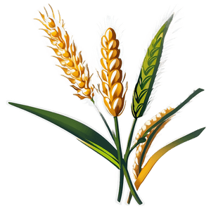 Flourishing Wheat Crop PNG fsc PNG