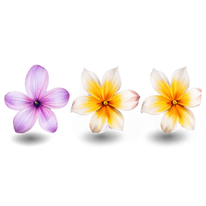 Flower Clipart PNG 05252024 PNG