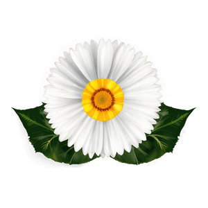 Flower Clipart PNG 82 PNG