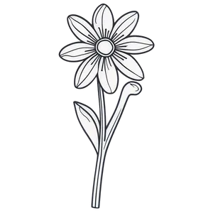 Flower Coloring Page Png Amu4 PNG Image