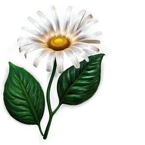 Flower Doodle A PNG Image