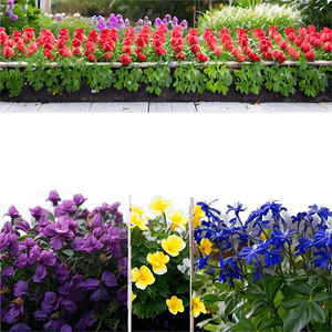 Flower Garden Inspiration PNG 41 PNG image with transparent background