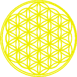 Flower Of Life Sacred Geometry PNG image with transparent background