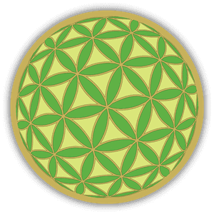 Flower Of Life_ Sacred Geometry Pattern PNG image with transparent background