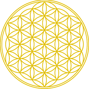 Flower Of Life_ Sacred Geometry Pattern PNG image with transparent background