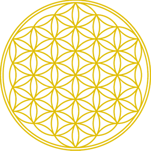 Flower Of Life_ Sacred Geometry Pattern PNG Image