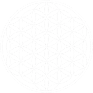 Flower Of Life_ Sacred Geometry.png PNG Image