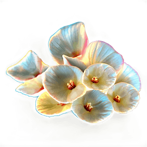 Flower Petal Transparent PNG jec PNG