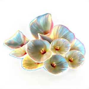 Flower Petal Transparent Png Jec PNG Image