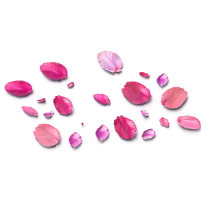 Flower Petals Scatter Png 11 PNG Image