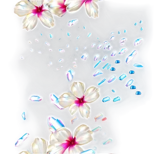 Flower Petals Scatter Png 61 PNG Image