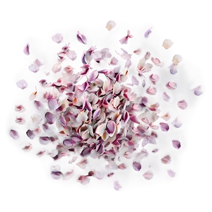 Flower Petals Scatter Png Axv40 PNG Image