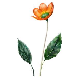 Flower Stem C PNG Image