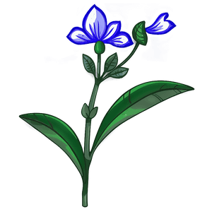 Flower Stem Transparent PNG cmi62 PNG