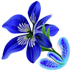 Flower Transparent Background PNG 05252024 PNG