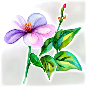 Flower Watercolor B PNG Image