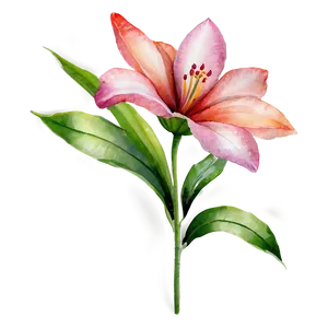 Flower Watercolor D PNG Image