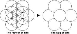 Flowerand Eggof Life Sacred Geometry PNG image with transparent background