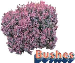 Flowering Bush Graphic PNG Image