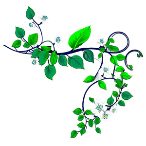 Flowering Vine Illustration PNG image with transparent background
